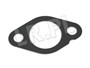 USZCZELKA RURKI ZAWORU EGR DISCO 3 / RR 1331267