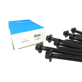 ZESTAW 10 SRUB GLOWICY (M13X155) 3.0 V6 1331316-S10
