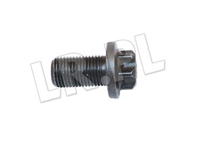SRUBA M10 X 17,5 KOLA ZAMACHOWEGO DISCOV 1406665GEN
