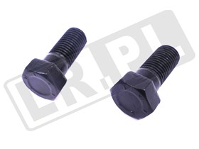 SRUBA KOLA ZAMACHOWEGO RR CLASSIC 255466G