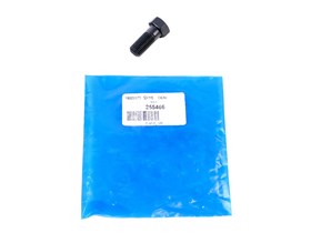 SRUBA KOLA ZAMACHOWEGO RR CLASSIC 255466G