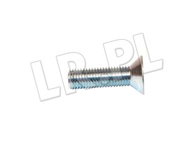 SRUBA ZAWIASU DRZWI RR CLASSIC 392920G