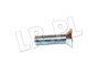 SRUBA ZAWIASU DRZWI RR CLASSIC 392920G