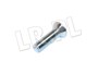 SRUBA ZAWIASU DRZWI RR CLASSIC 392920G