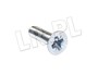 SRUBA ZAWIASU DRZWI RR CLASSIC 392920G