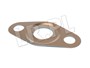 USZCZELKA RURY RECYRKULACJI SPALIN - DIS 4451180GEN