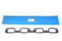 USZCZELKA KOLEKTORA SSACEGO 4.2 V8 SUPER 4628226G