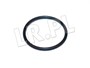 O-RING APARATU ZAPLONOWEGO JAGUAR XJ6 , 513682JGEN