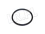 O-RING APARATU ZAPLONOWEGO JAGUAR XJ6 , 513682JGEN
