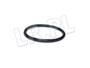 O-RING APARATU ZAPLONOWEGO JAGUAR XJ6 , 513682JGEN