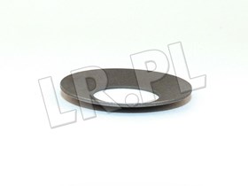PODKLADKA SATELITY DIFF LOCK LT95 556633GEN