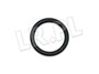 ORING WALKA WSTECZNEGO SKRZYNI BIEGOW 4 561699GEN