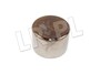 TLOCZEK ZACISKU HAMULCOWEGO TYL DISCO / 606696AP