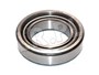 LOZYSKO KOSZA MECH. ROZN. MOSTU SALISBUR 607187G-ALL