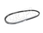 PASEK KLINOWY ALTERNATORA RR CLASSIC 614794