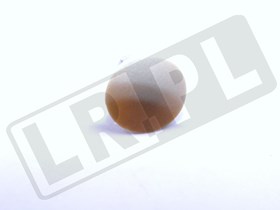 KOLEK PLASTIKOWY OBUDOWY FOTELA RR P38 ADU7995SMKGEN