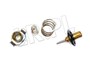 TERMOSTAT JAGUAR 4,2 S-T / X350 / XK8 AJ82697GEN