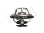 TERMOSTAT JAGUAR V8 S-T / X350 / X308 / AJ86484