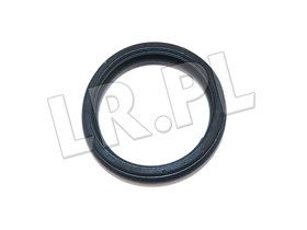 USZCZELKA SWIEC ZAPLONOWYCH JAGUAR V8 4, AJ86874GEN