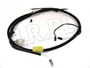 WIAZKA ELEKTRYCZNA SILNIKA RR V8 EFI OD AMR2617GEN