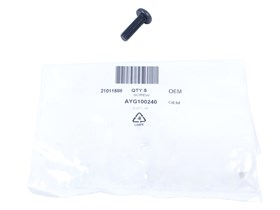 SRUBA M8X25 TORX AYG100240G