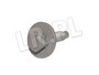 SRUBA M6 AYP500110GEN