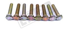 SRUBA M6 X 30 UKLADU HAMULCOWEGO / SKRZY BH106061LGEN