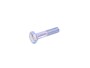 SRUBA  M10 X 45 MM BH110091LG