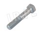 SRUBA DRAZKA PANHARDA NOWY TYP BH114167