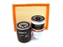 ZESTAW FILTROW PREMIUM - DISCOVERY 300 T BK0017A