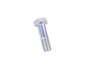 SRUBA WALU NAPEDOWEGO PRZY FLANSZY REDUK BT606106LG