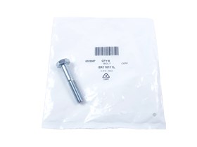 SRUBA M10 X 55 BX110111LG