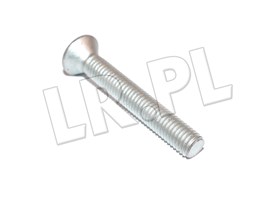 SRUBA ZAWIASU DO DRZWI DEFENDER DO 2001 BYG100150LGEN