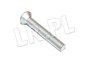 SRUBA ZAWIASU DO DRZWI DEFENDER DO 2001 BYG100150LGEN