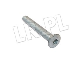 SRUBA ZAWIASU DRZWI PRZOD M8 X 55 TORX BYG500070G