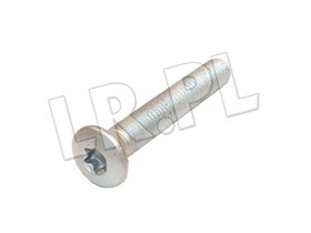 SRUBA ZAWIASU DRZWI PRZOD M8 X 55 TORX BYG500070GEN