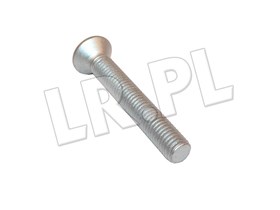 SRUBA ZAWIASU DRZWI PRZOD M8 X 55 TORX BYG500070GEN