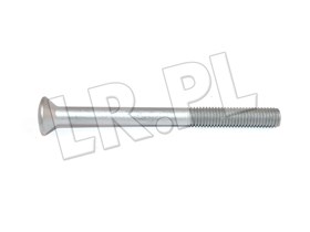 SRUBA ZAWIASU DO NADWOZIA TYL LR SIII / BYG500090GEN