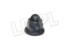 NAKRETKA SRUBY ZAWIASU DRZWI TYLNYCH DEF BYH100130GEN