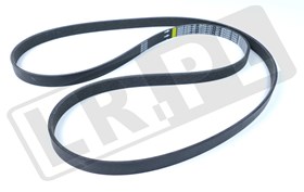 PASEK GLOWNY PLASKI DIESEL JAGUAR XJ (X6 C2C20642GEN