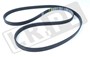 PASEK GLOWNY PLASKI DIESEL JAGUAR XJ (X6 C2C20642GEN