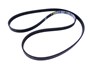 PASEK GLOWNY PLASKI DIESEL JAGUAR XJ (X6 C2C20642GEN