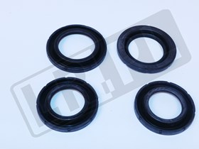 KIT-PISTONS C2C24011GEN