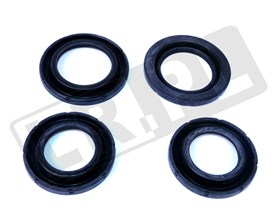 KIT-PISTONS C2C24011GEN