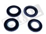 KIT-PISTONS C2C24011GEN