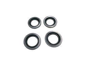 KIT-PISTONS C2C24011GEN