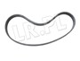 PASEK SPREZARKI DOLADOWANIA JAGUAR 4,2 V C2C37055GEN