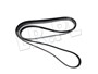 PASEK SILNIKA JAGUAR V8 X350 / XK / NEW C2C37063DAYCO