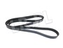 PASEK SILNIKA JAGUAR V8 X350 / XK / NEW C2C37063DAYCO