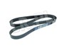 PASEK SILNIKA JAGUAR V8 X350 / XK / NEW C2C37063G